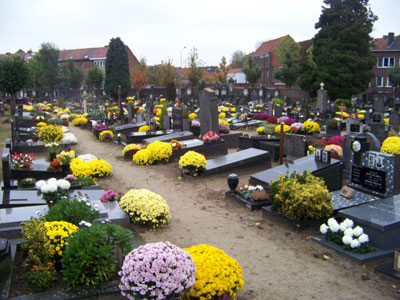 http://www.kutbinnenlanders.nl/images/031109_camposanto_chrysanten_2.jpg
