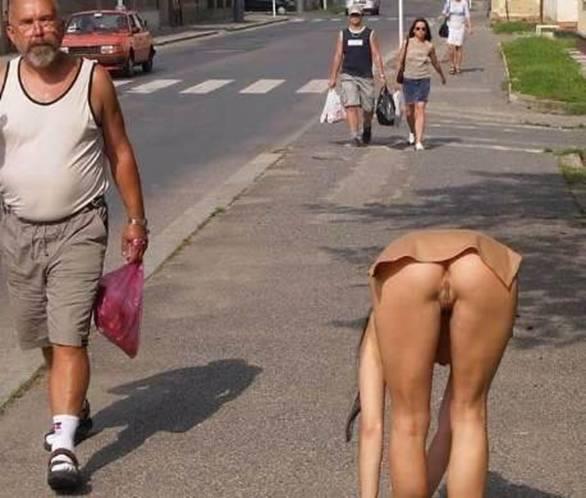 photo chatte poilue gratuit